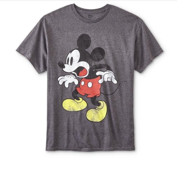 Other - size L, bust 40” inches, can be unisex, Mickey scared, new condition